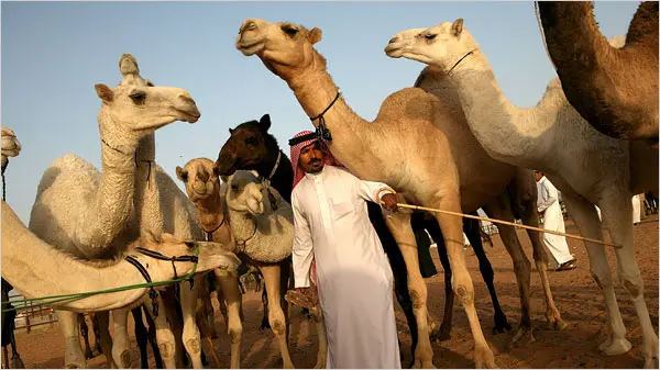 Magical Places In Riyadh