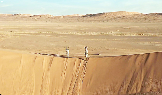 A New Saudi Arabian Site On UNESCO World Heritage List: Uruq Bani Ma'arid Reserve محمية عروق بني معارض