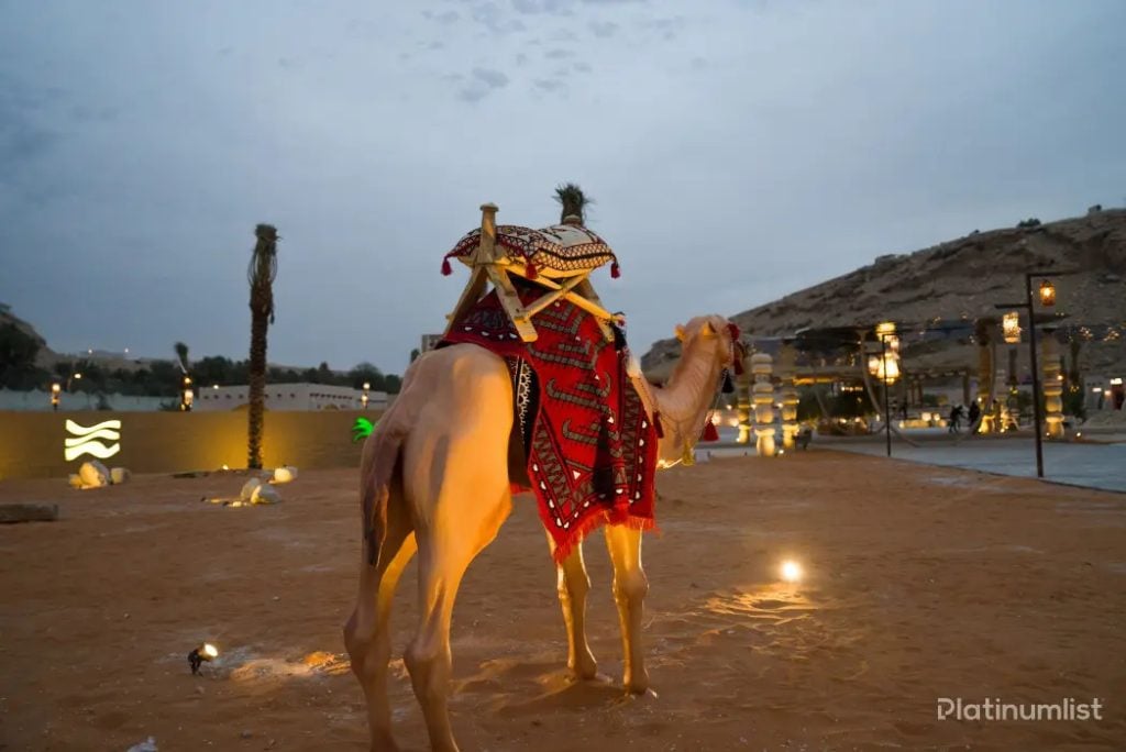 ramlina riyadh winter festival